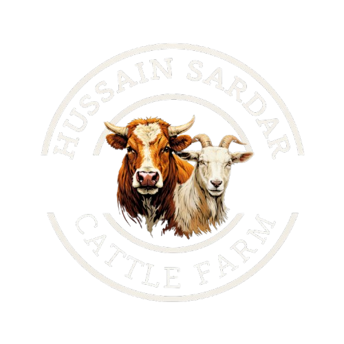 hussainsardarcattlefarm.com