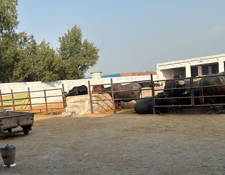 whatsapp image 2026 02 27 at 4.22.09 pm (1)