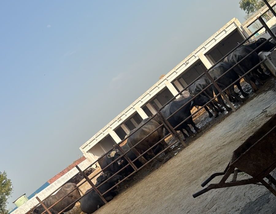 whatsapp image 2026 02 27 at 4.22.09 pm