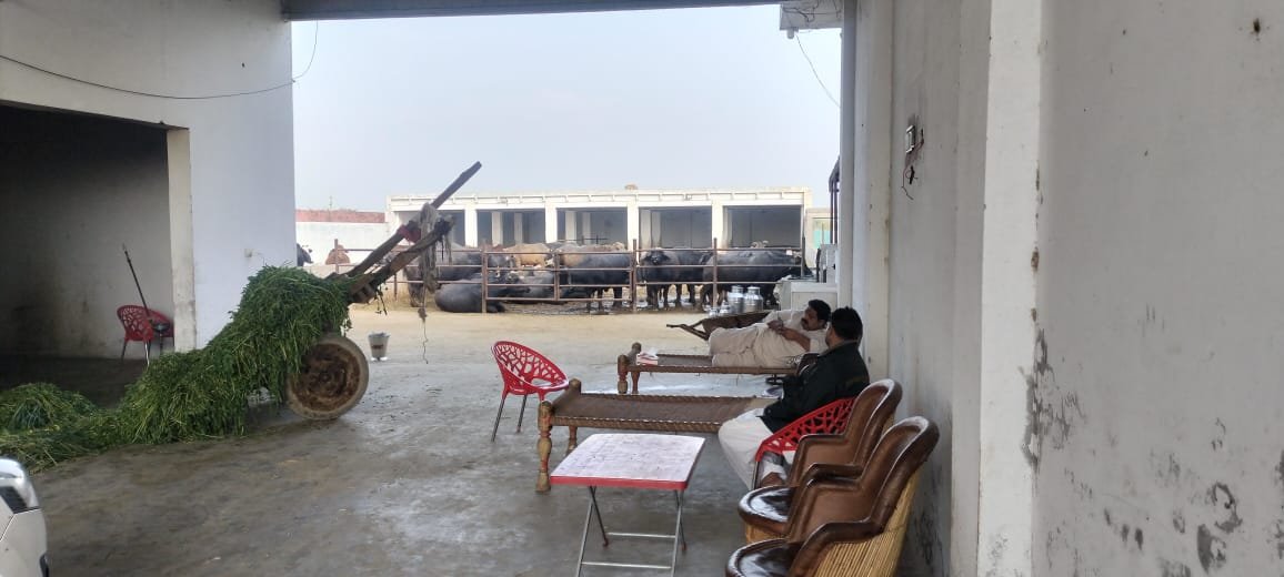 whatsapp image 2026 02 27 at 4.22.10 pm (1)