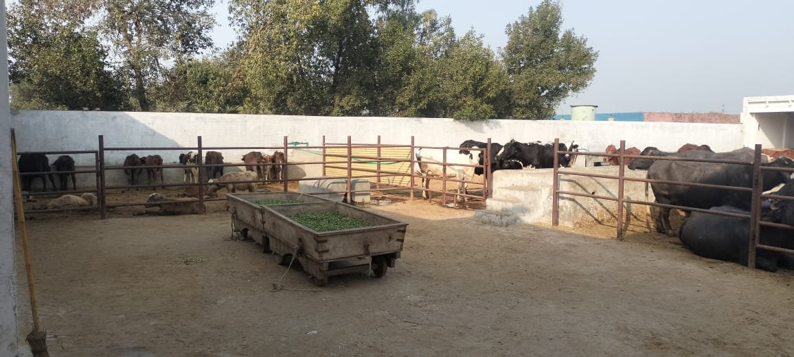 whatsapp image 2026 02 27 at 4.22.11 pm (1)